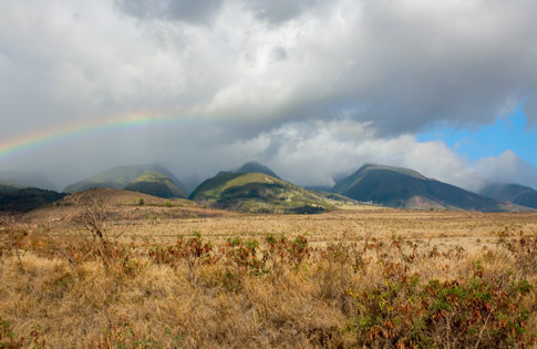 photo, Shadows and Showers
